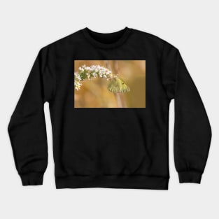 Sulphur Suspension Crewneck Sweatshirt